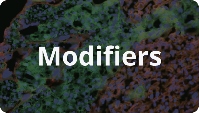 Modifiers