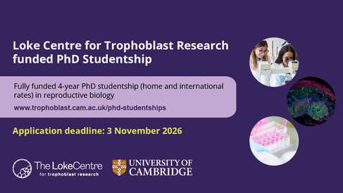 Loke CTR PhD studentship advertisement 2026
