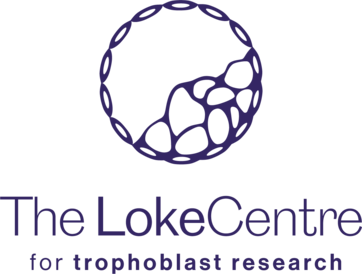 Loke Centre for Trophoblast Research logo - stacked purple layout