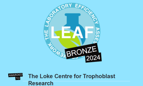 LEAF