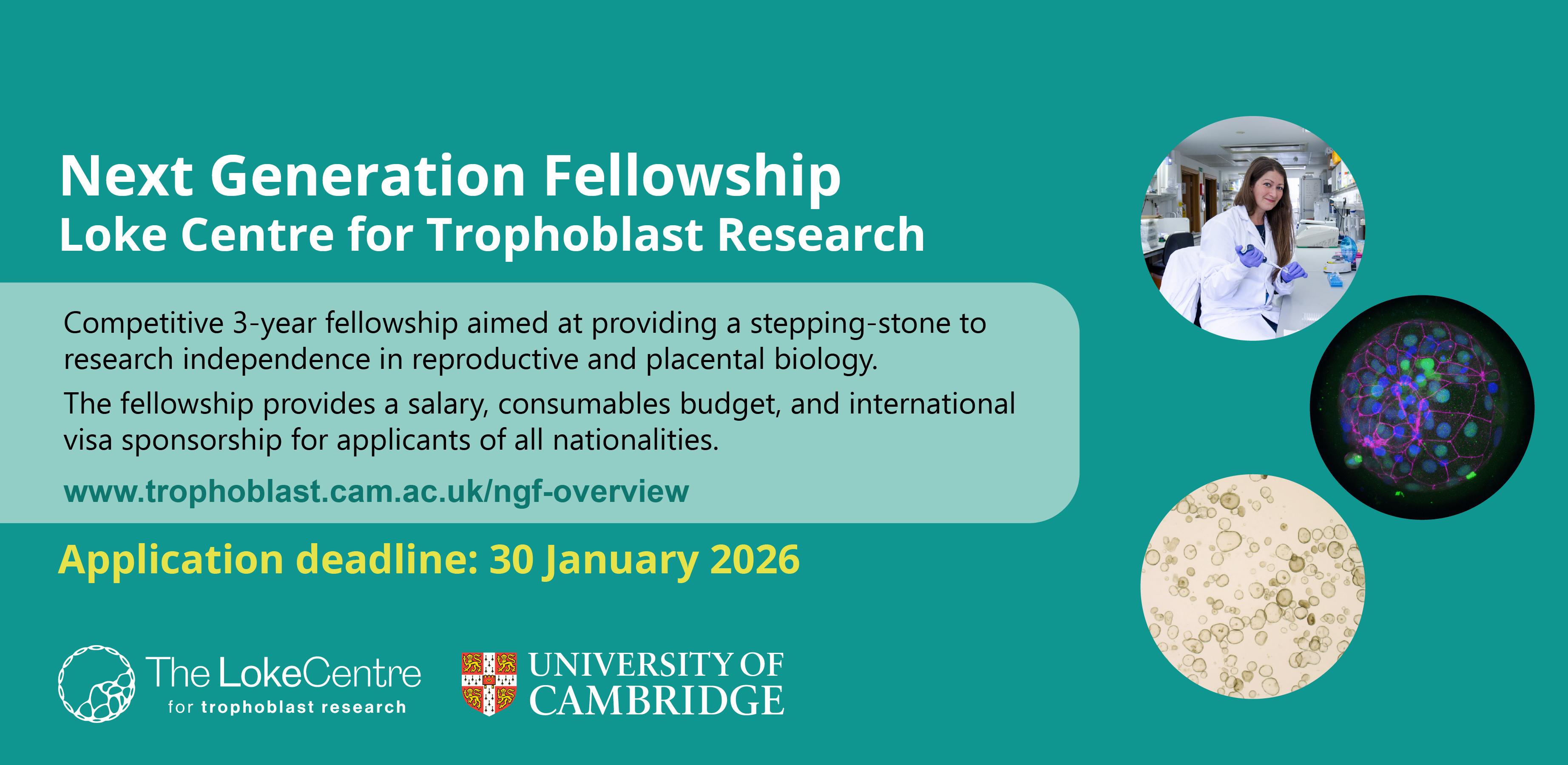 Next Generation Fellowship