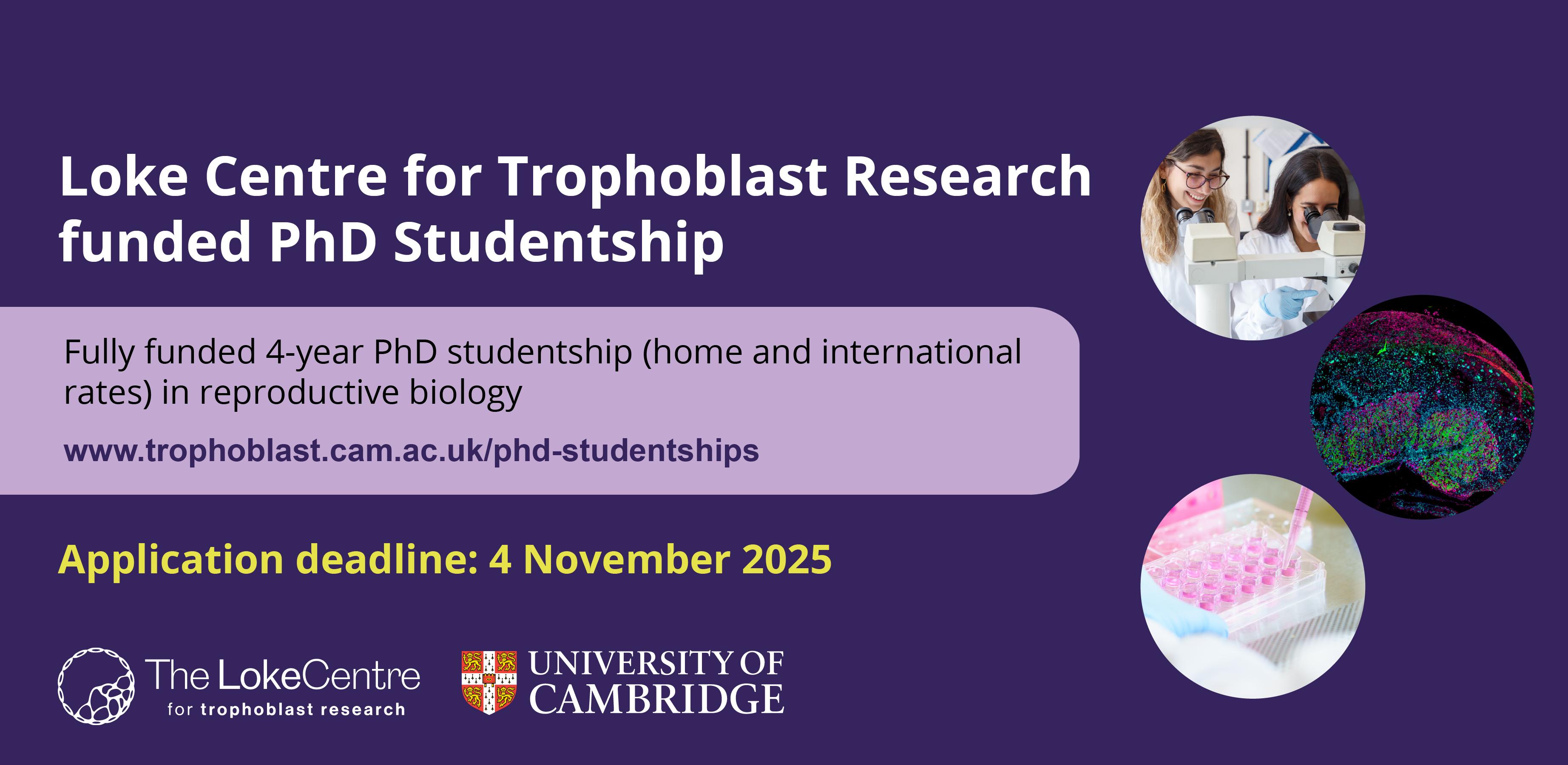 PhD studentship
