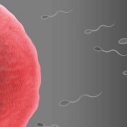 Mum’s in control – even before you’re born