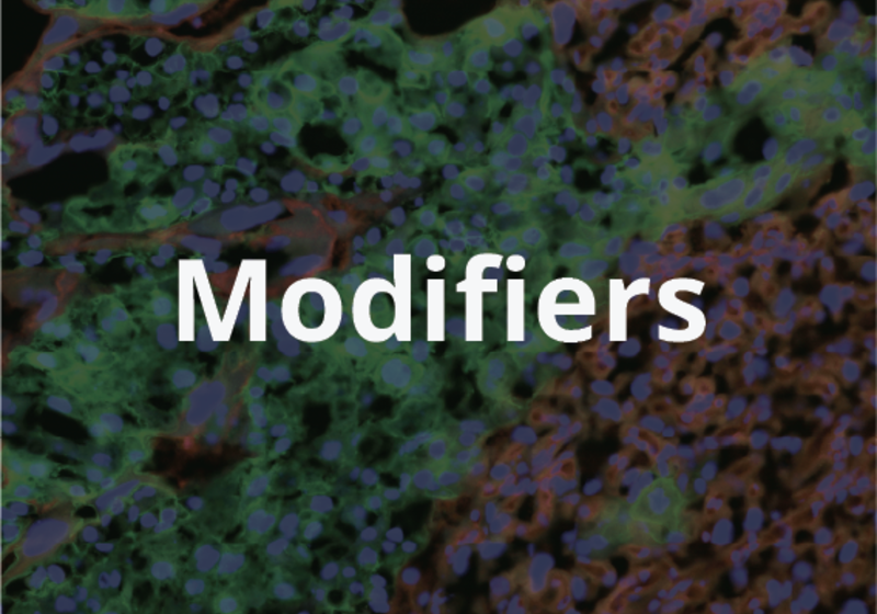 Modifiers