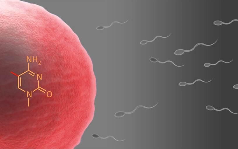Mum’s in control – even before you’re born