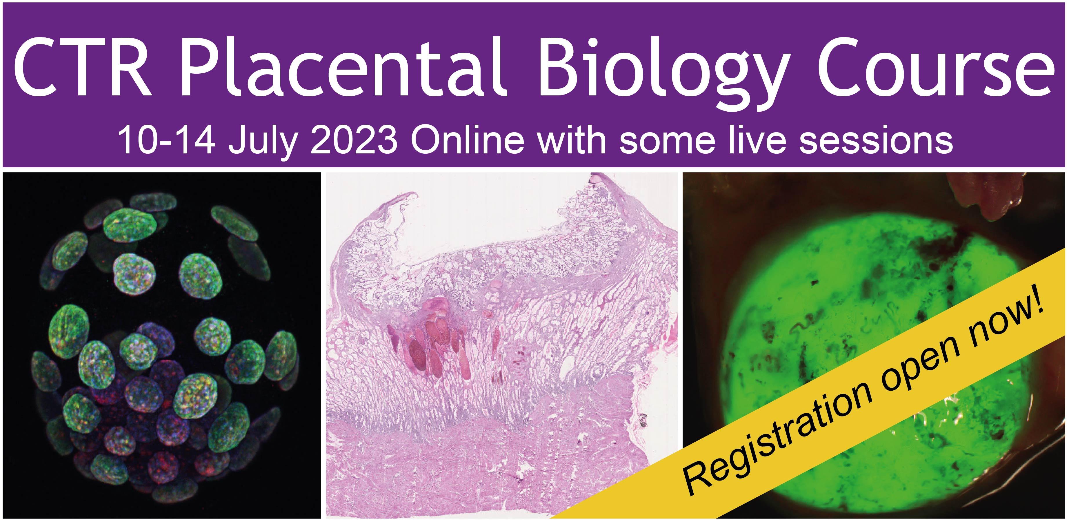 Placental Biology Course 2023