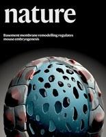 Basement membrane remodelling regulates development, just published in Nature